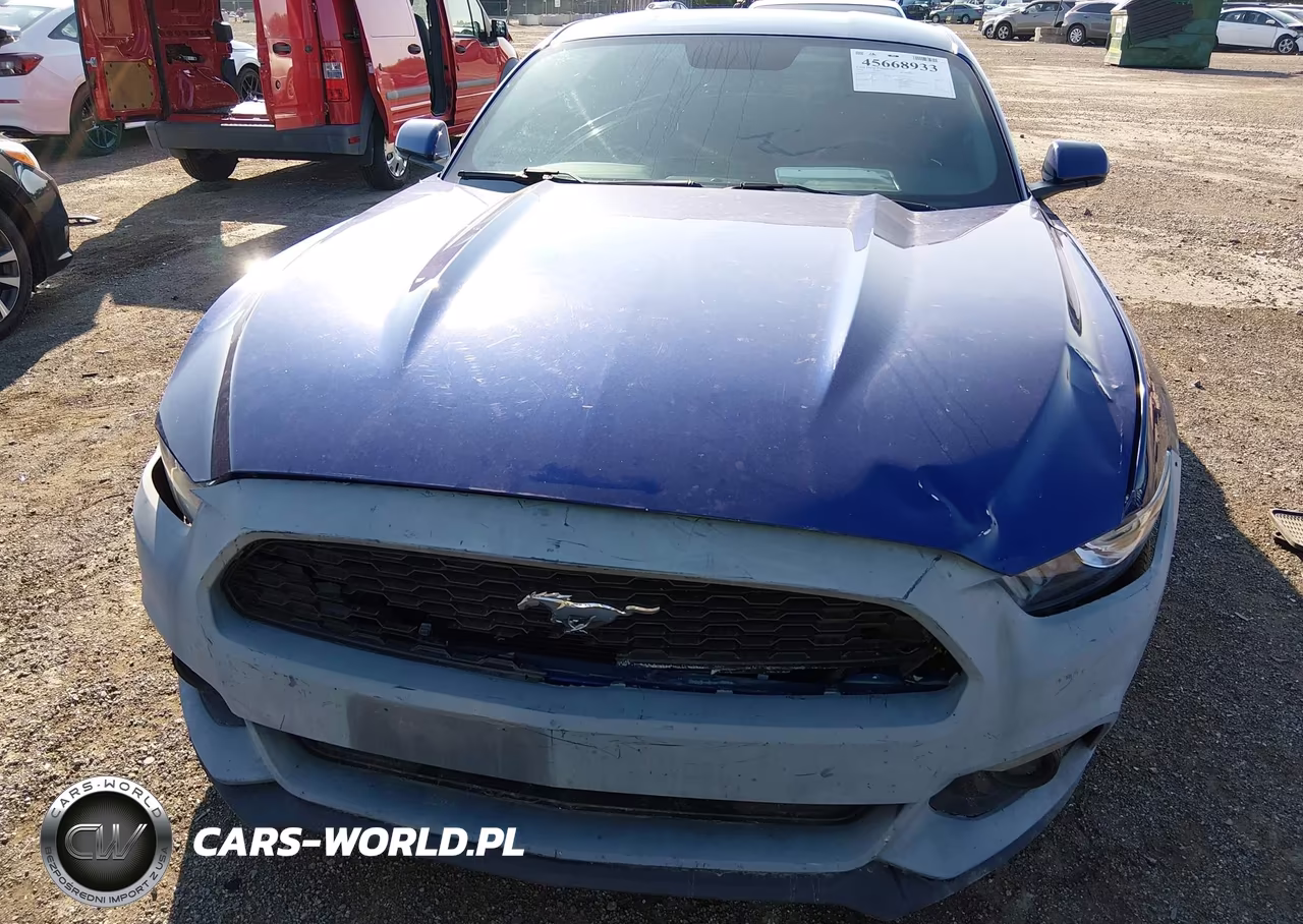 2016 Ford Mustang V6 VIN:1FA6P8AM8G5219460 - 6