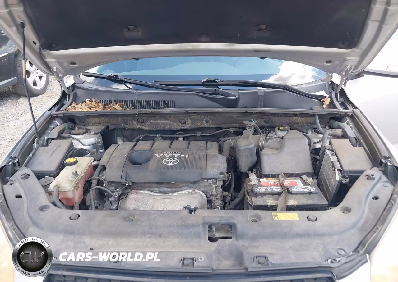 2010 Toyota Rav4 Sport VIN:JTMRF4DV1A5028669 - 10