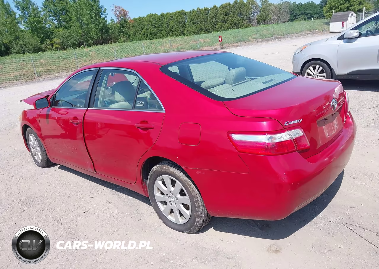 2009 Toyota Camry Xle VIN:4T4BE46K79R100453 - 3