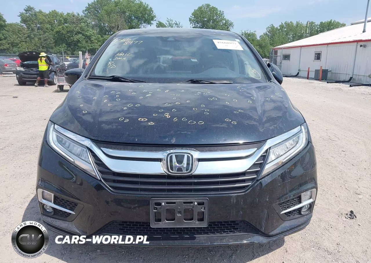 2019 Honda Odyssey Elite VIN:5FNRL6H96KB029902 - 13