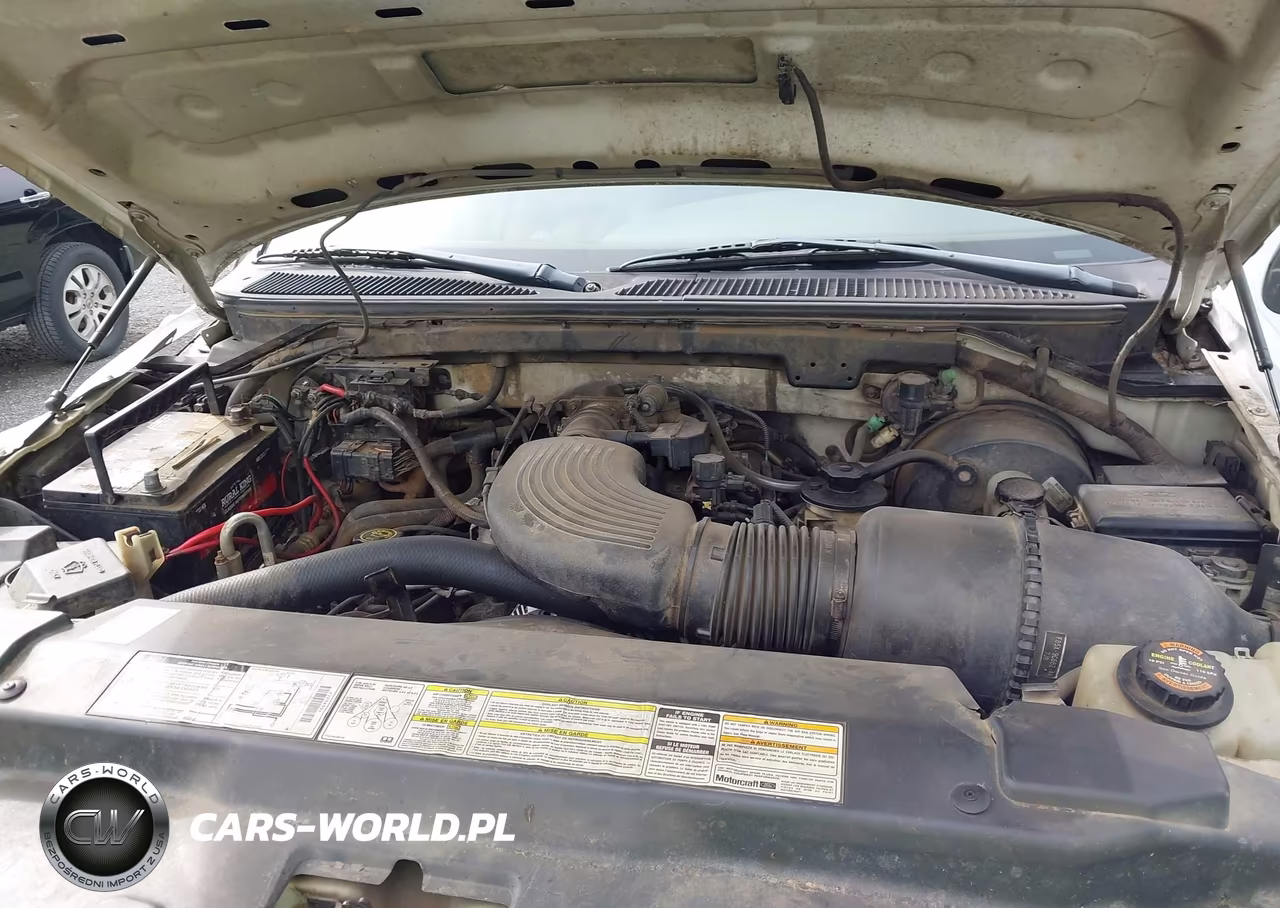 1998 Ford Expedition Eddie Bauer-Xlt VIN:1FMRU18W2WLA33725 - 10