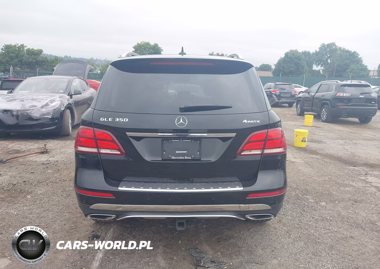 2017 Mercedes-Benz Gle 350 4Matic VIN:4JGDA5HB3HA890223 - 16