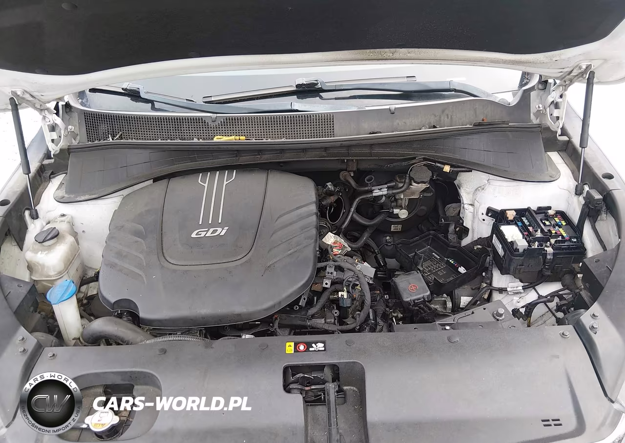 2018 Kia Sorento 3.3L Ex VIN:5XYPH4A56JG396584 - 10