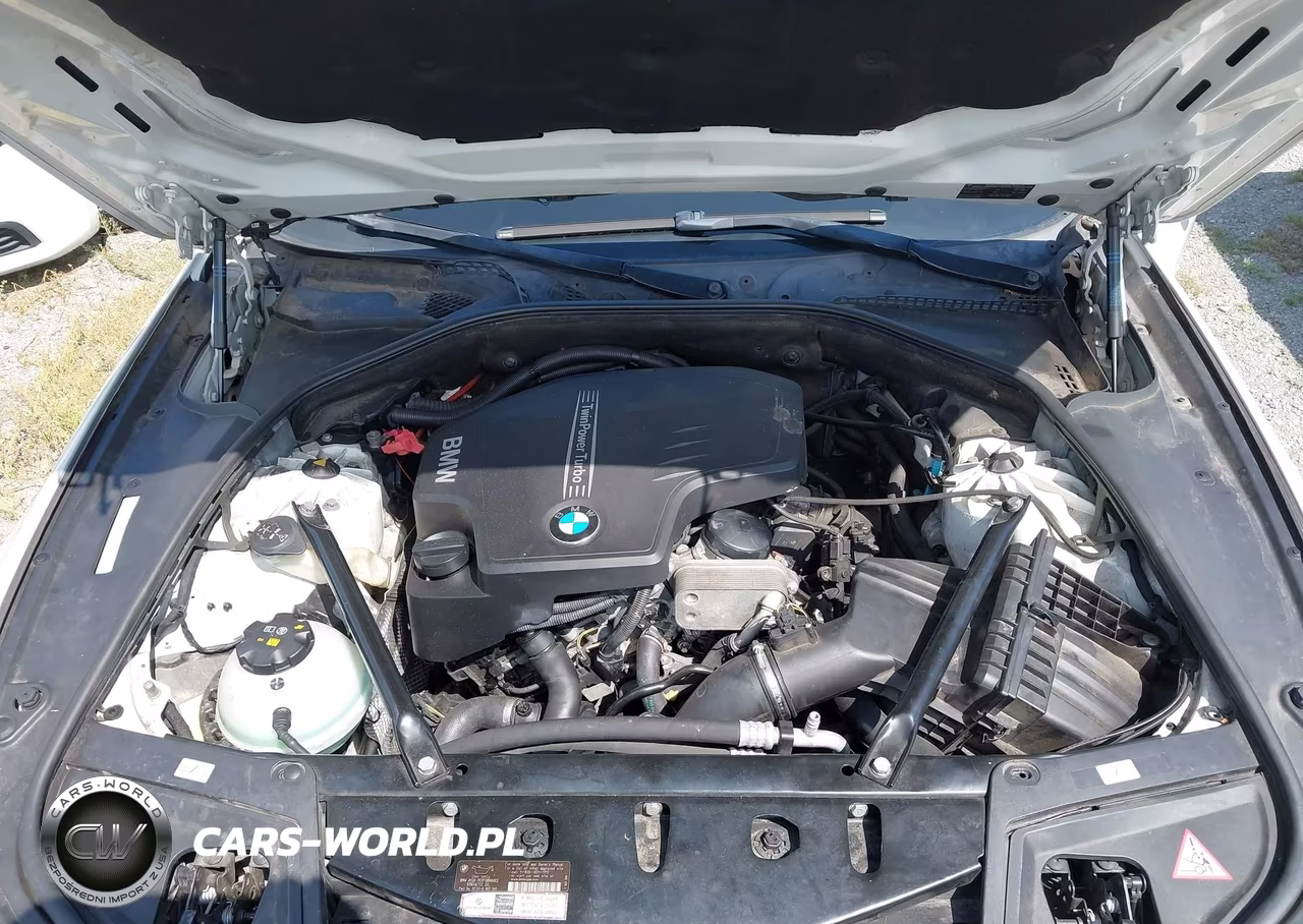 2015 BMW 528 Xi VIN:WBA5A7C58FD620838 - 10