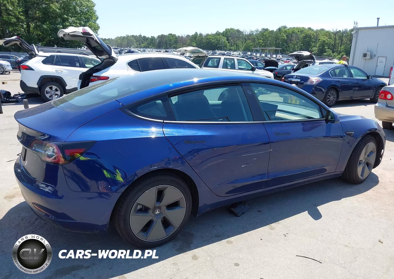 2022 Tesla Model 3 Rear-Wheel Drive VIN:5YJ3E1EA1NF331474 - 6