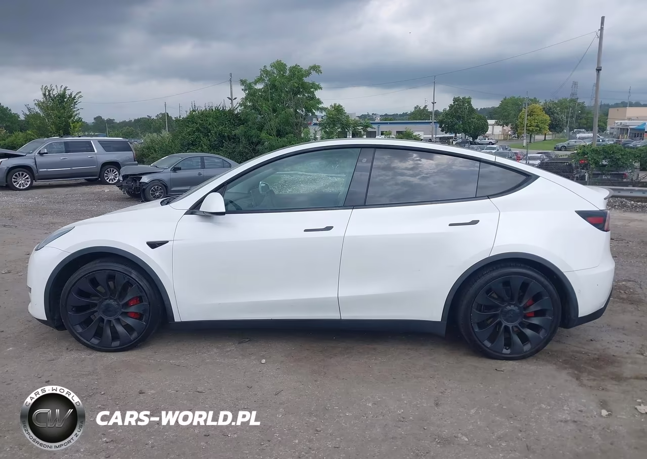 2020 Tesla Model Y Long Range Dual Motor All-Wheel Drive-Performance Dual Motor All-Wheel Drive VIN:5YJYGDEF0LF028051 - 13