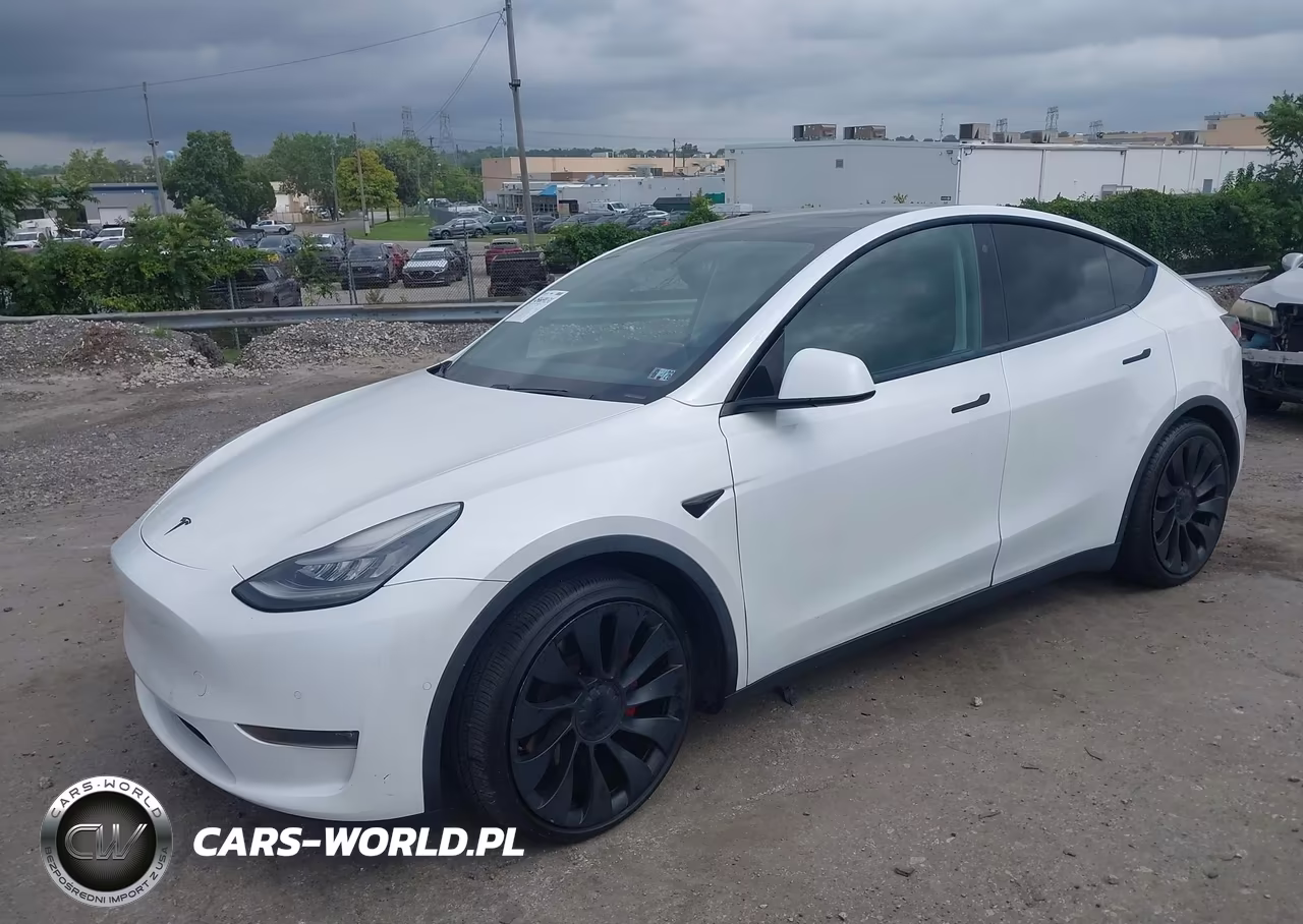 2020 Tesla Model Y Long Range Dual Motor All-Wheel Drive-Performance Dual Motor All-Wheel Drive VIN:5YJYGDEF0LF028051 - 2