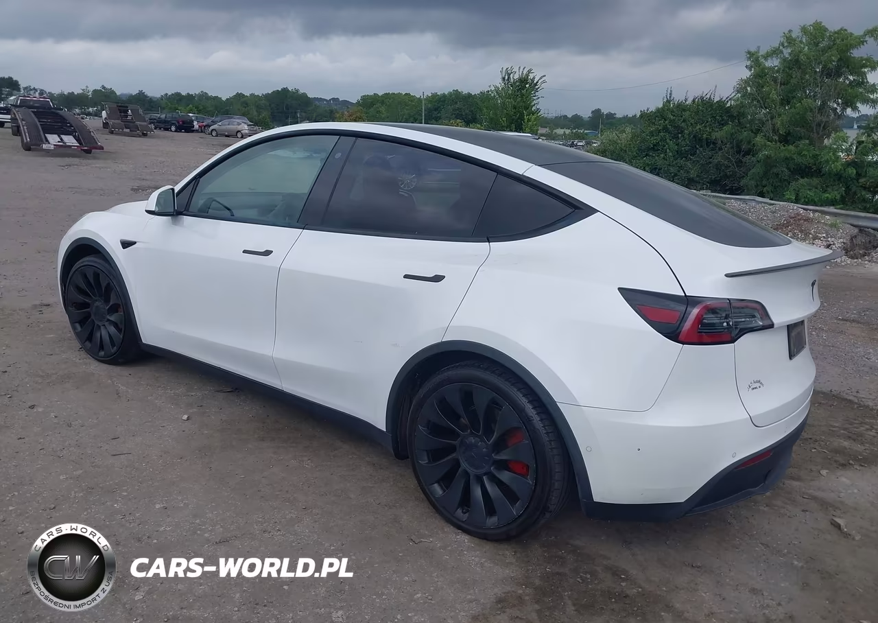 2020 Tesla Model Y Long Range Dual Motor All-Wheel Drive-Performance Dual Motor All-Wheel Drive VIN:5YJYGDEF0LF028051 - 3