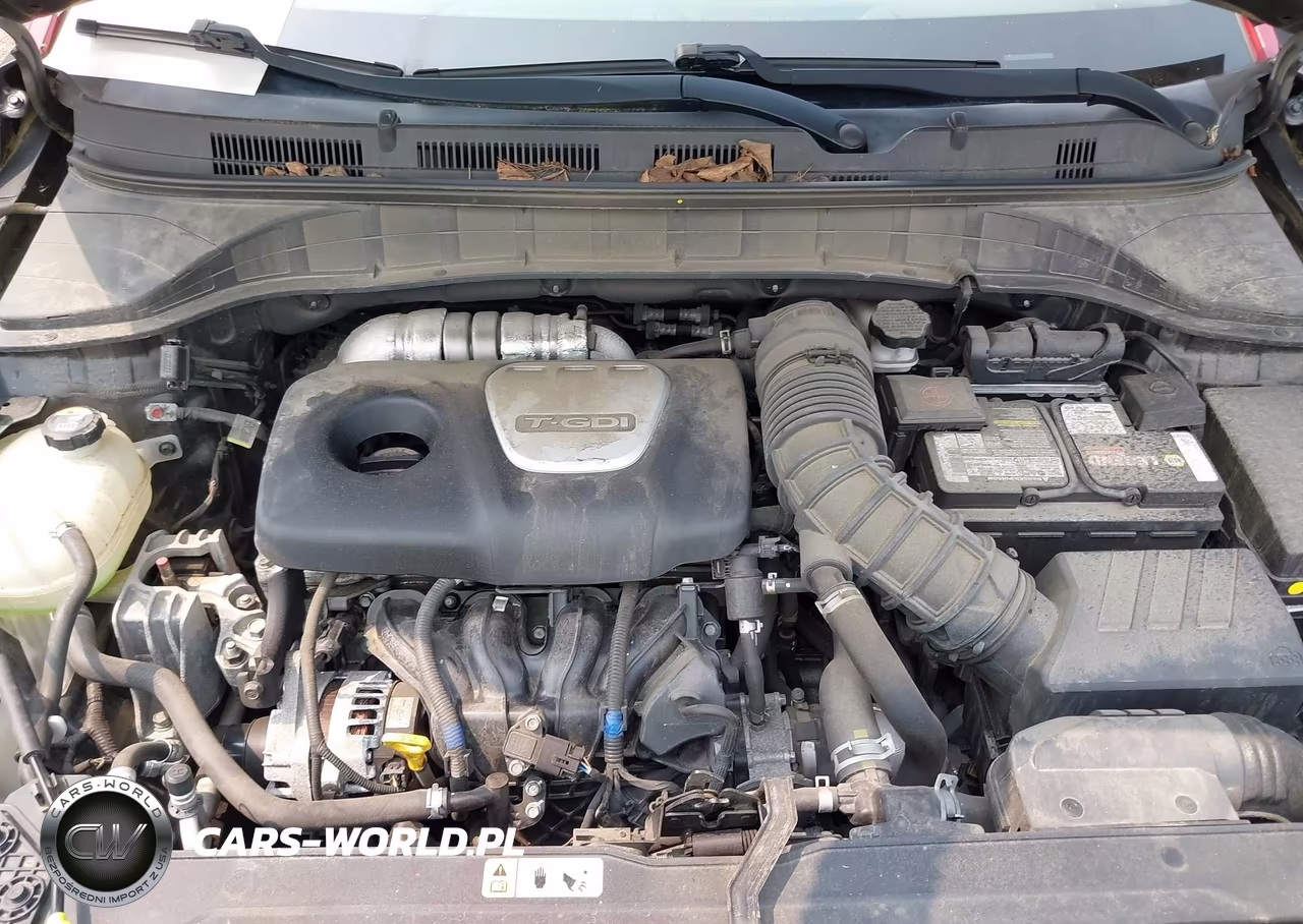 2019 Hyundai Kona Iron Man VIN:KM8K5CA51KU316116 - 10