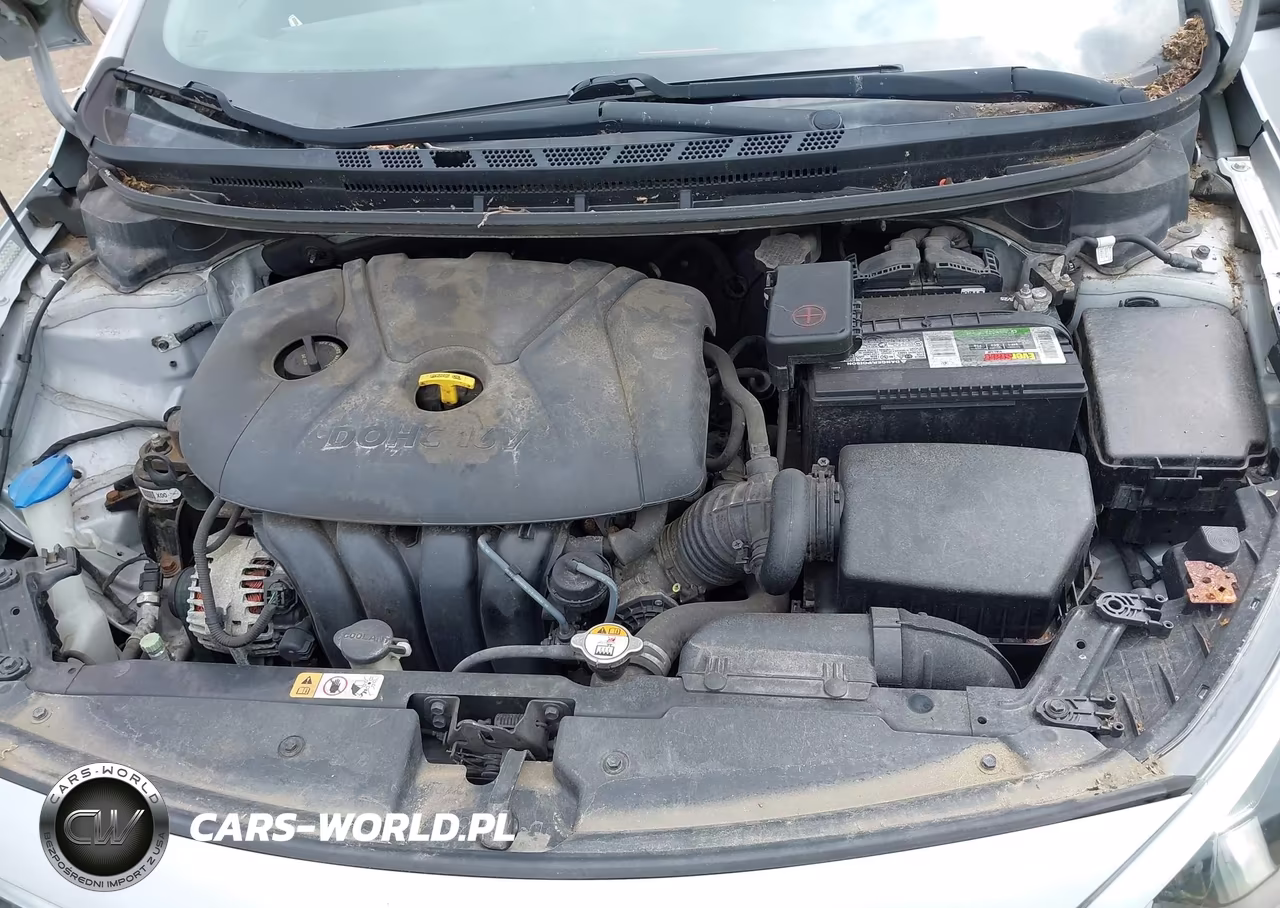 2016 Kia Forte Lx VIN:KNAFK4A63G5527412 - 10