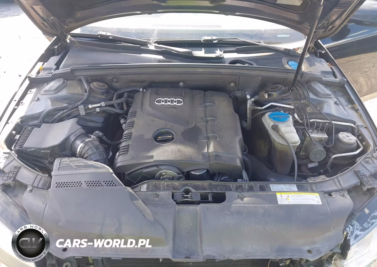 2010 Audi A4 2.0T Premium VIN:WAUAFAFL7AN065875 - 10