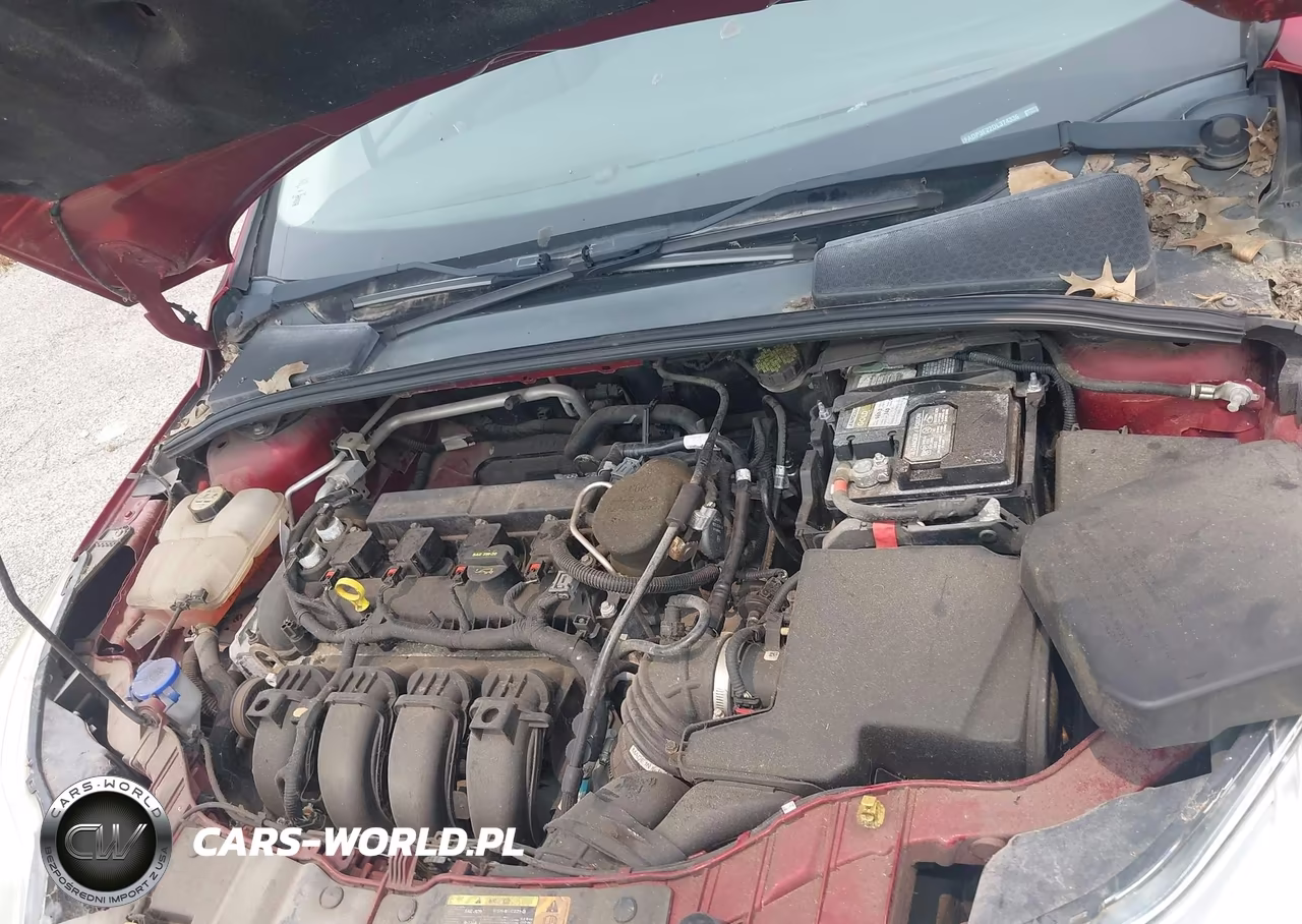2013 Ford Focus Se VIN:1FADP3F22DL374336 - 10