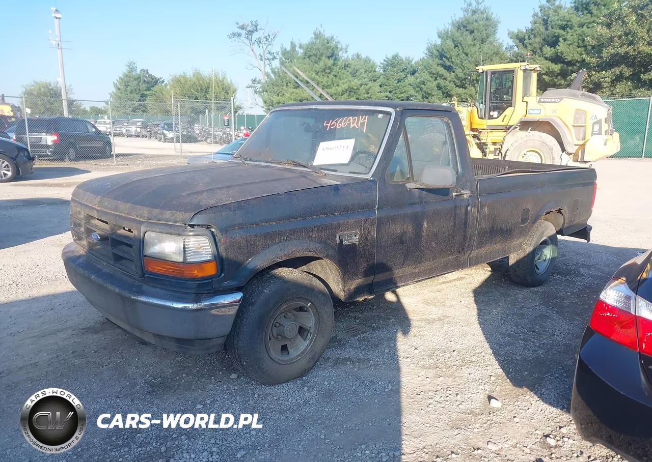 1995 Ford F150 VIN:1FTEF15Y8SLA31667 - 2