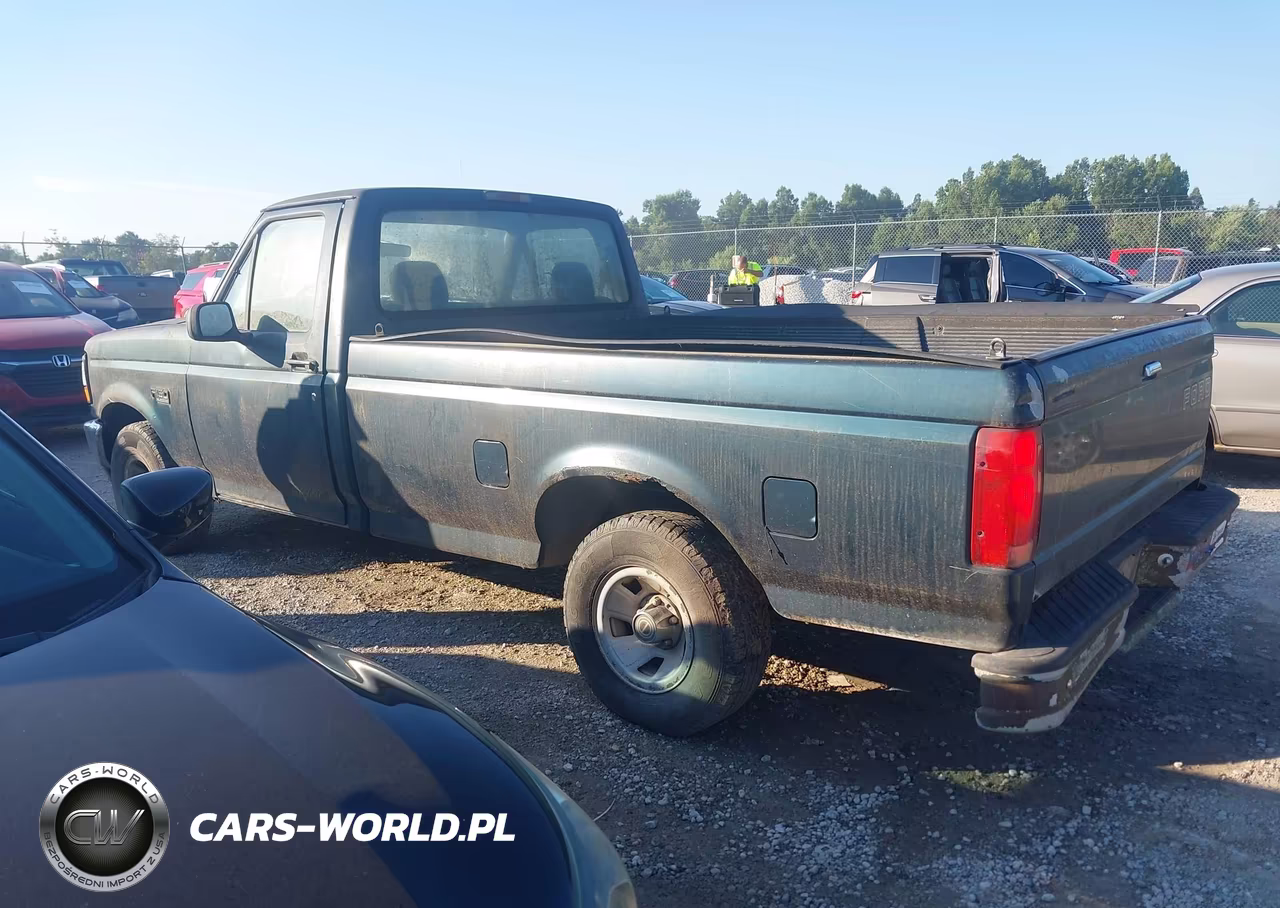 1995 Ford F150 VIN:1FTEF15Y8SLA31667 - 3