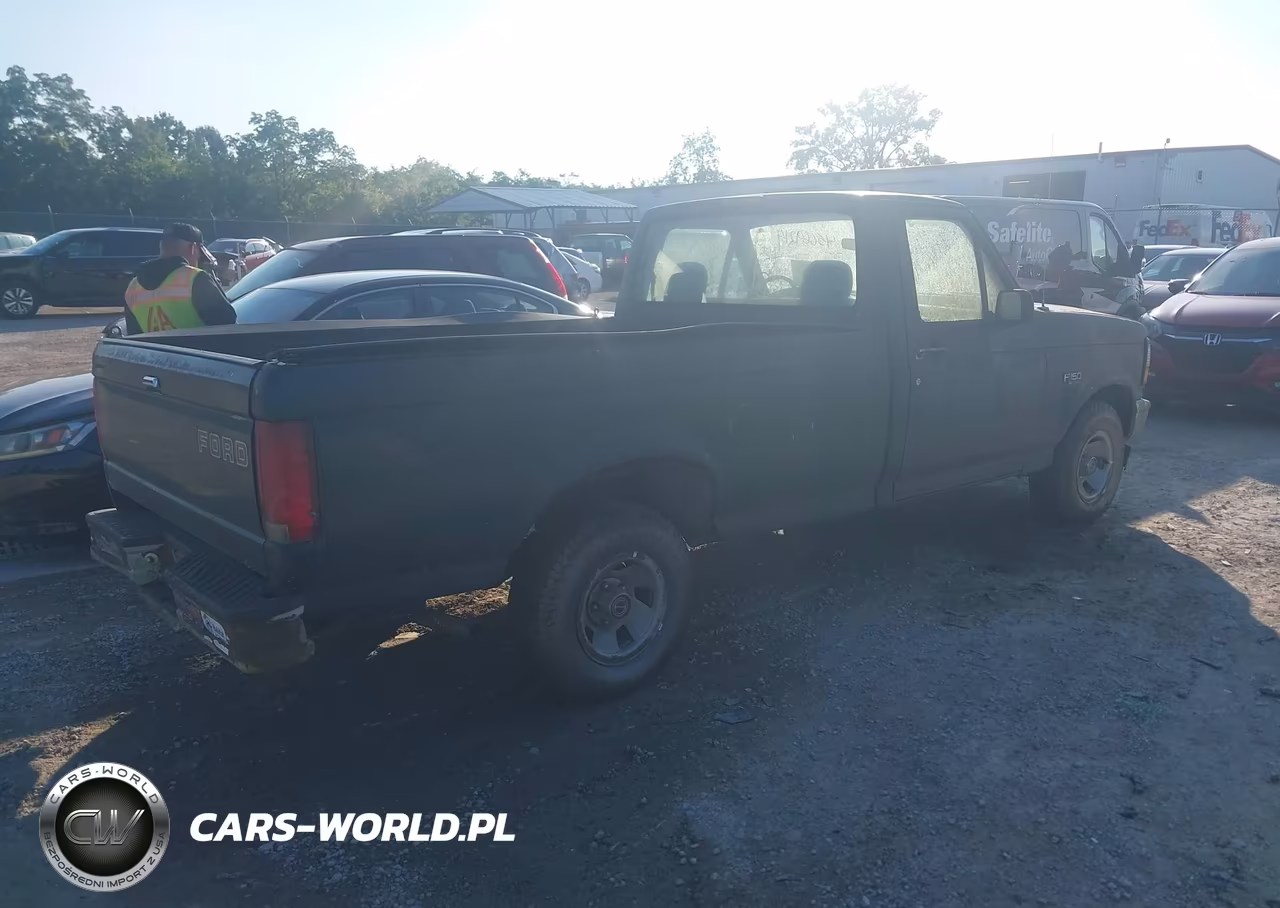 1995 Ford F150 VIN:1FTEF15Y8SLA31667 - 4