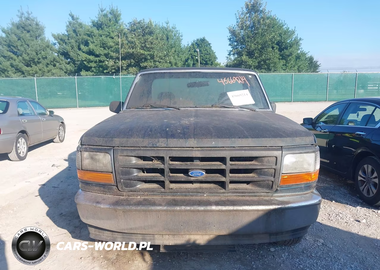 1995 Ford F150 VIN:1FTEF15Y8SLA31667 - 6