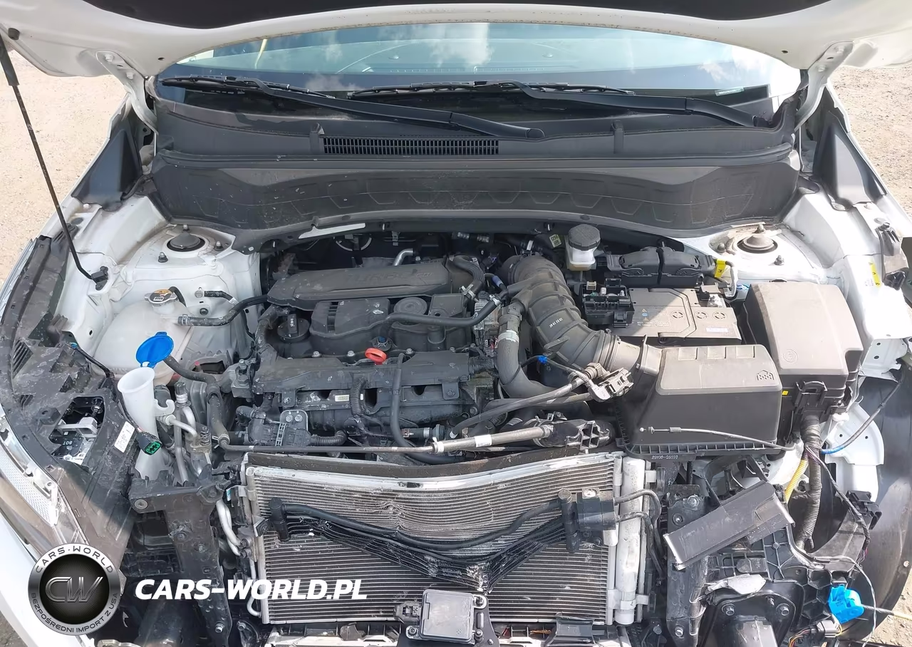 2024 Kia Seltos Sx Turbo VIN:KNDETCA79R7479467 - 10