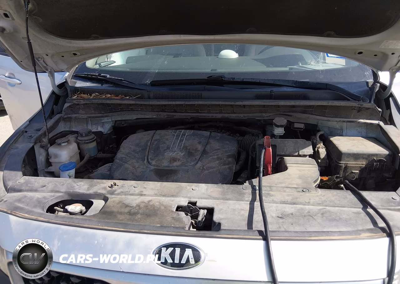 2017 Kia Sedona Lx VIN:KNDMB5C18H6241973 - 10