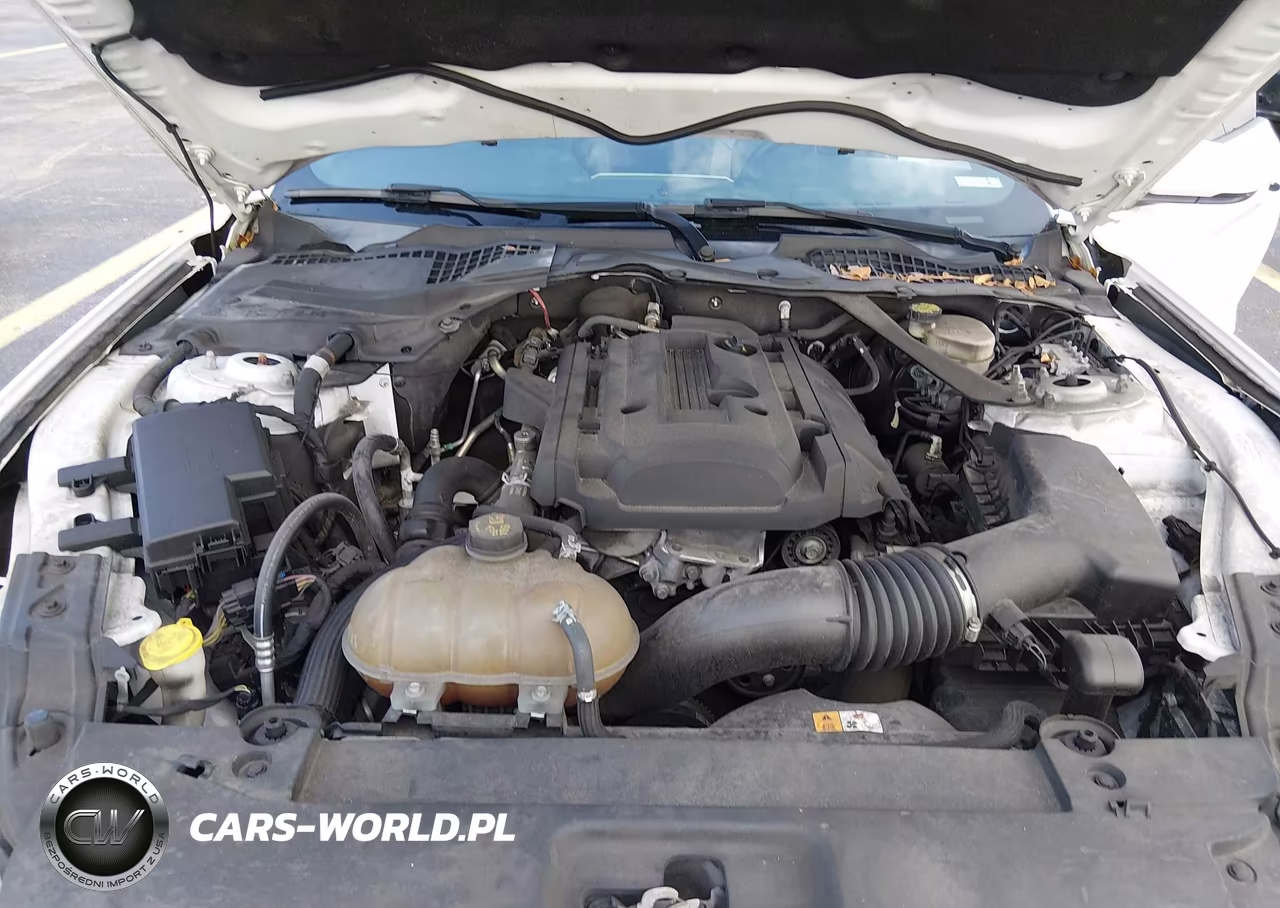2015 Ford Mustang Ecoboost Premium VIN:1FATP8UHXF5402777 - 10