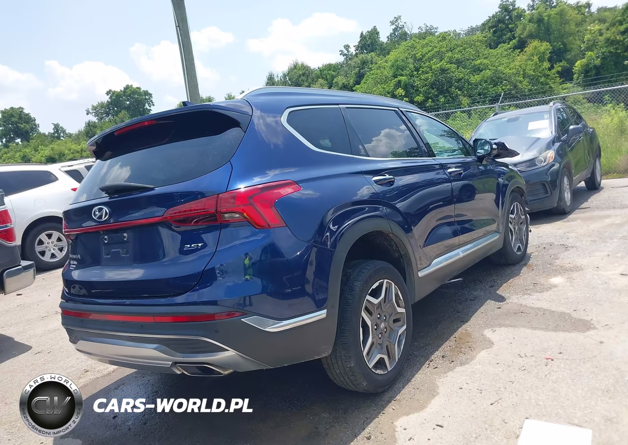 2023 Hyundai Santa Fe Limited VIN:5NMS44AL6PH491004 - 4