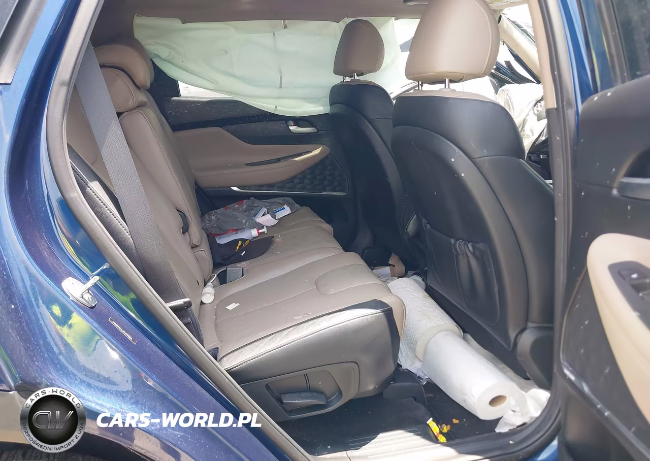 2023 Hyundai Santa Fe Limited VIN:5NMS44AL6PH491004 - 8