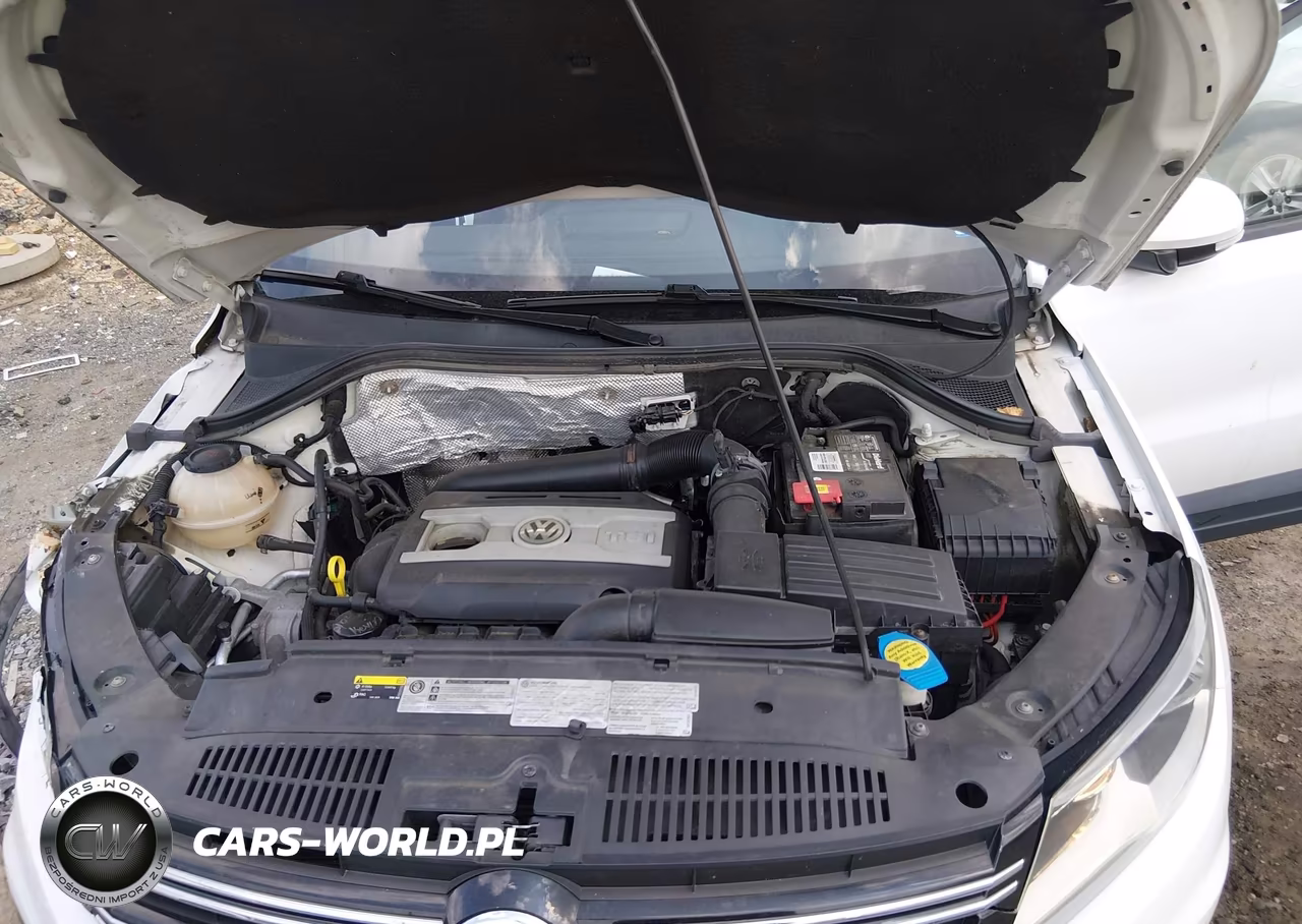 2017 Volkswagen Tiguan 2.0T-2.0T S VIN:WVGBV7AX4HK050295 - 10