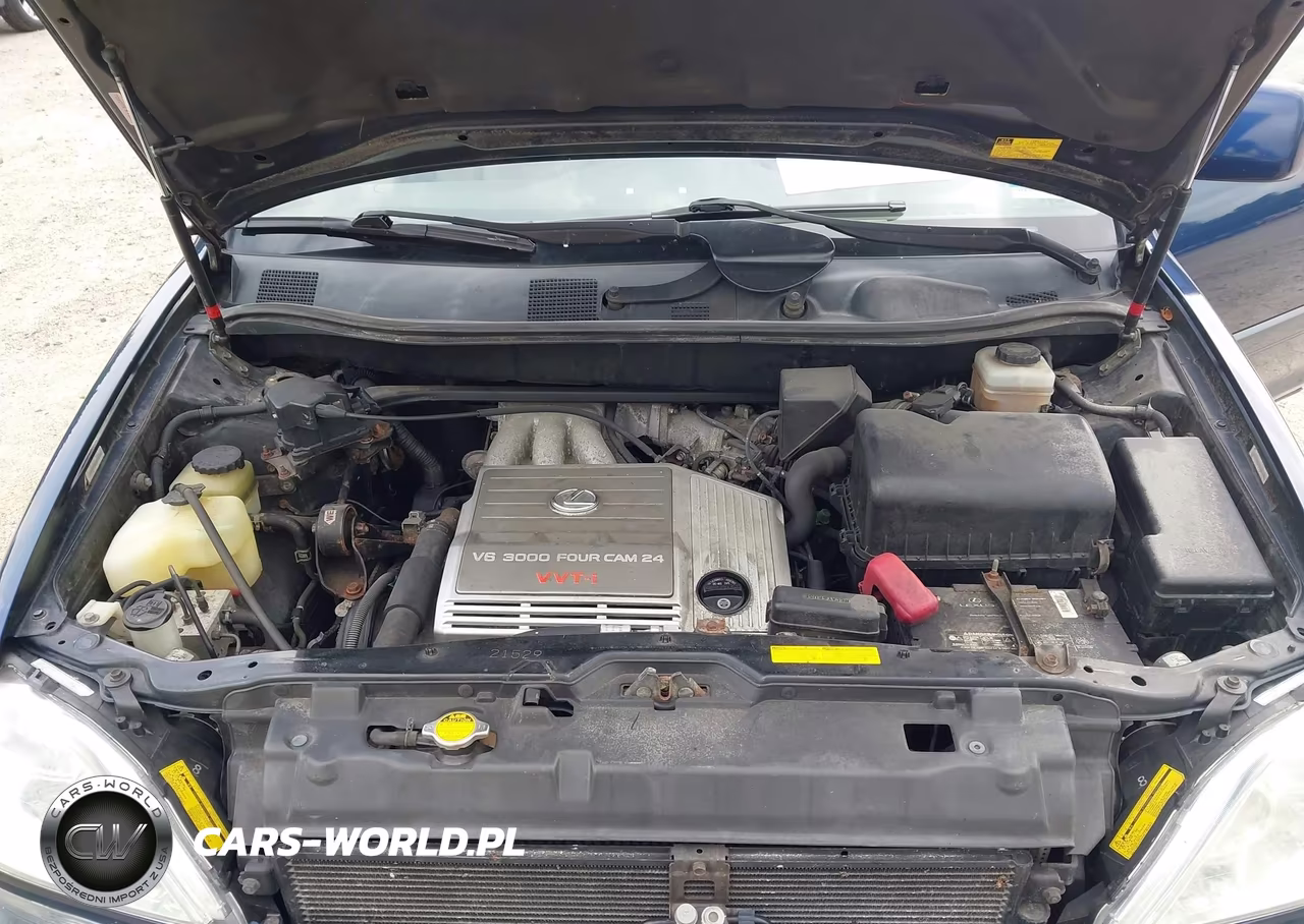2001 Lexus Rx 300 VIN:JTJHF10U310213582 - 10