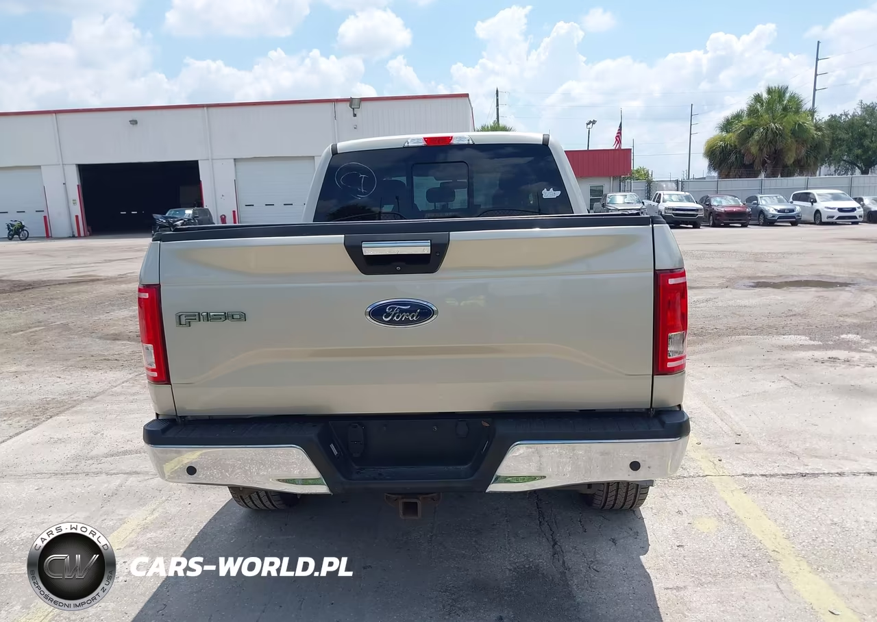 2017 Ford F-150 Xlt VIN:1FTFW1EG4HFA43415 - 16