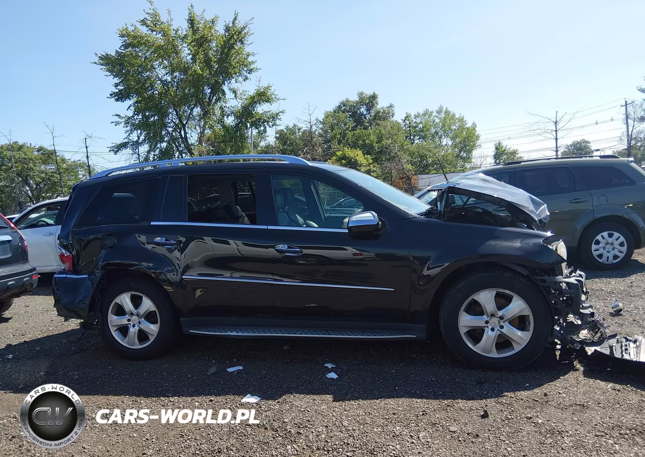 2010 Mercedes-Benz Gl 450 4Matic VIN:4JGBF7BE4AA603596 - 13