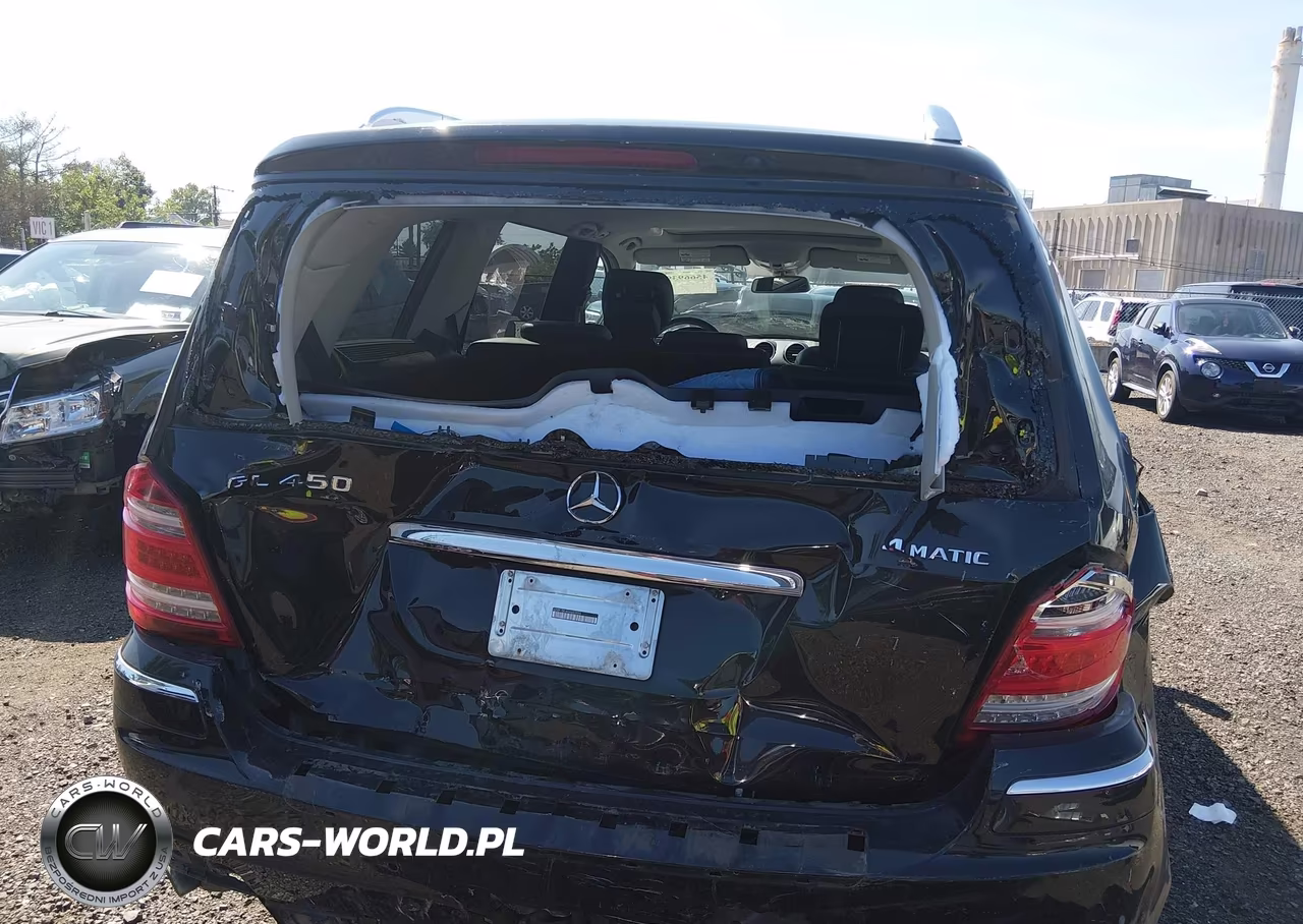 2010 Mercedes-Benz Gl 450 4Matic VIN:4JGBF7BE4AA603596 - 16