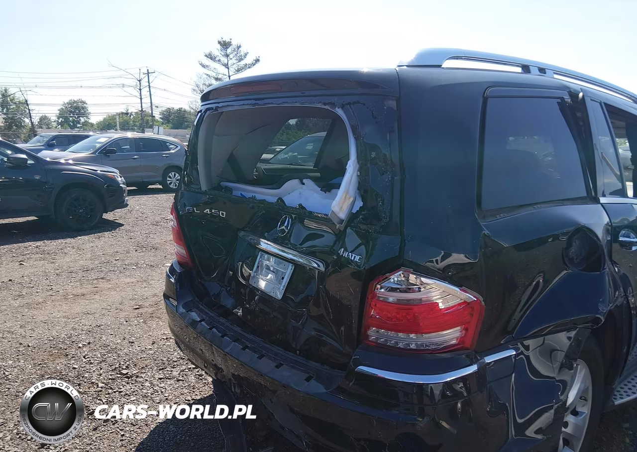 2010 Mercedes-Benz Gl 450 4Matic VIN:4JGBF7BE4AA603596 - 6