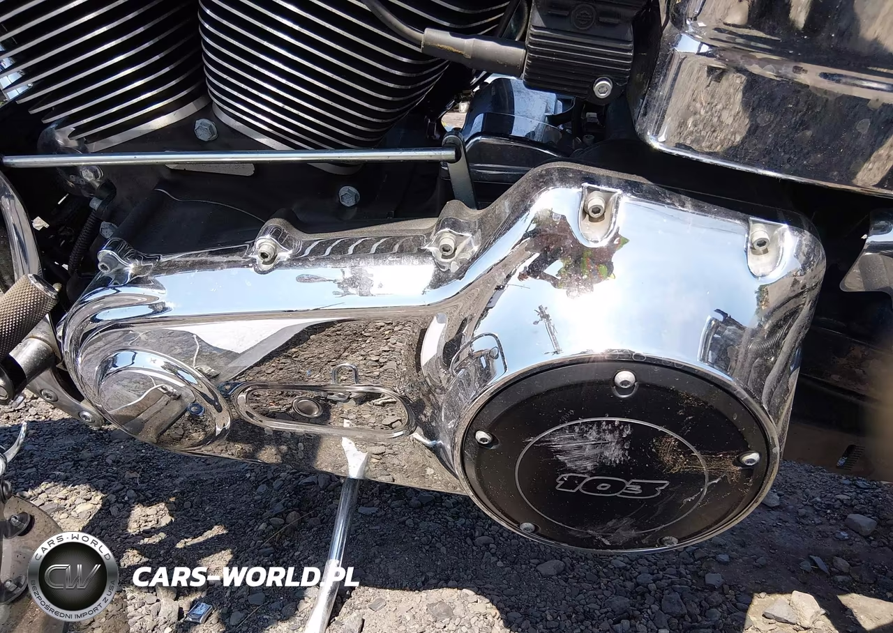 2014 Harley-Davidson Fxdl Dyna Low Rider VIN:1HD1GNM24EC319379 - 9