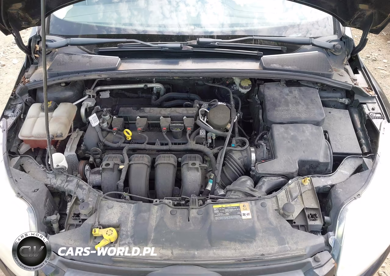 2014 Ford Focus Se VIN:1FADP3F29EL206226 - 10