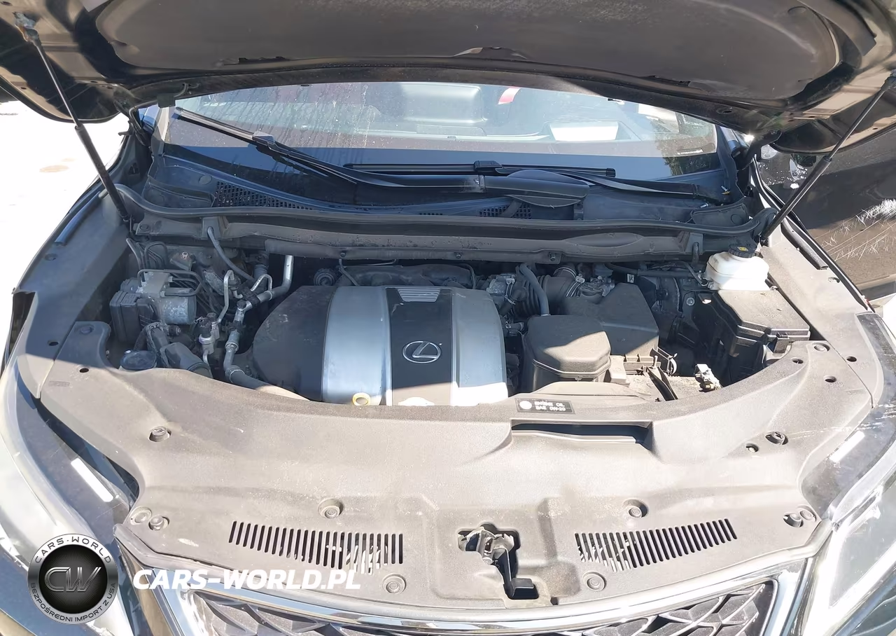 2020 Lexus Rx 350 F Sport Performance VIN:2T2YZMDA1LC247164 - 10