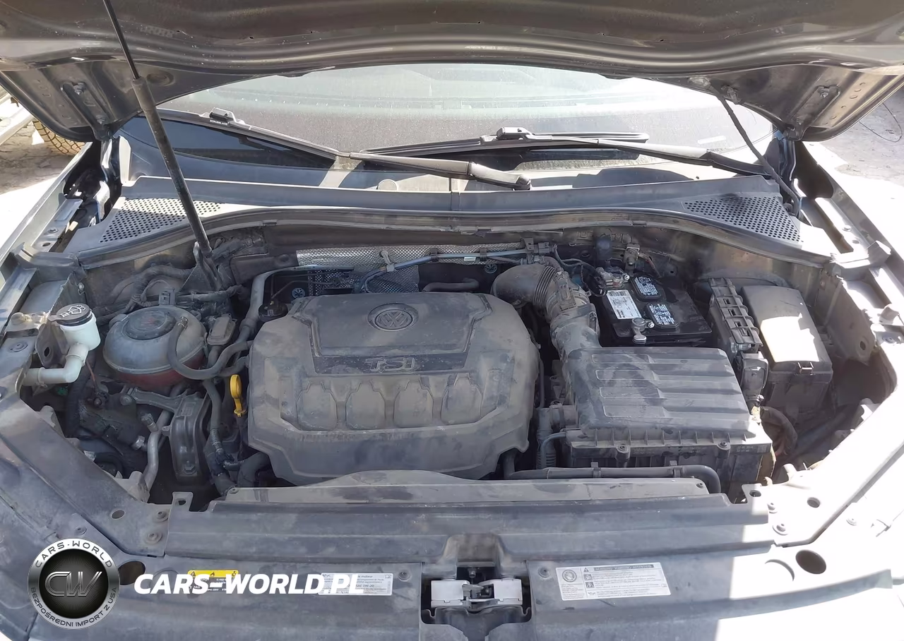 2019 Volkswagen Tiguan VIN:3VV3B7AX1KM099795 - 10