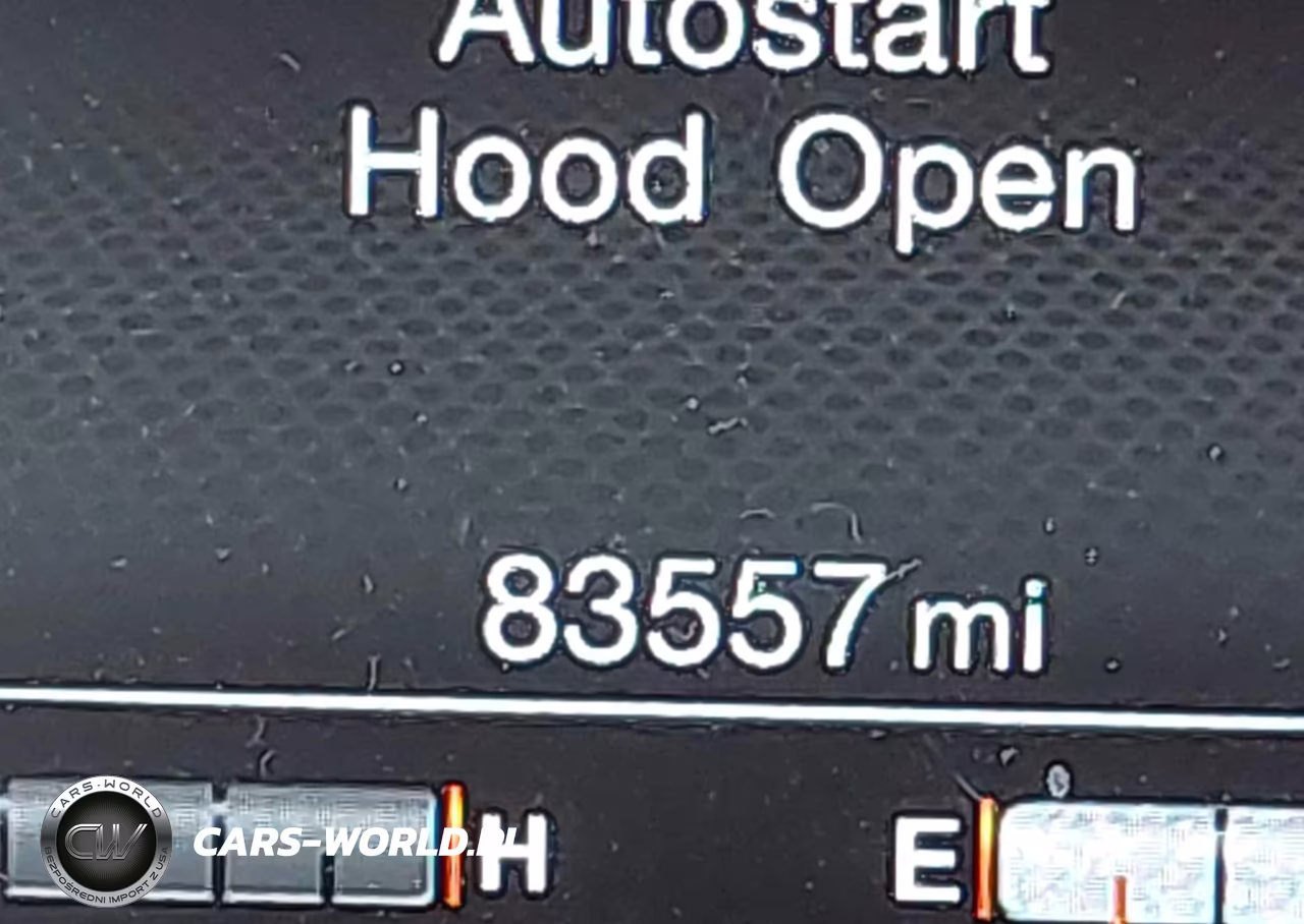 2019 Jeep Renegade Trailhawk 4X4 VIN:ZACNJBC16KPK07439 - 15