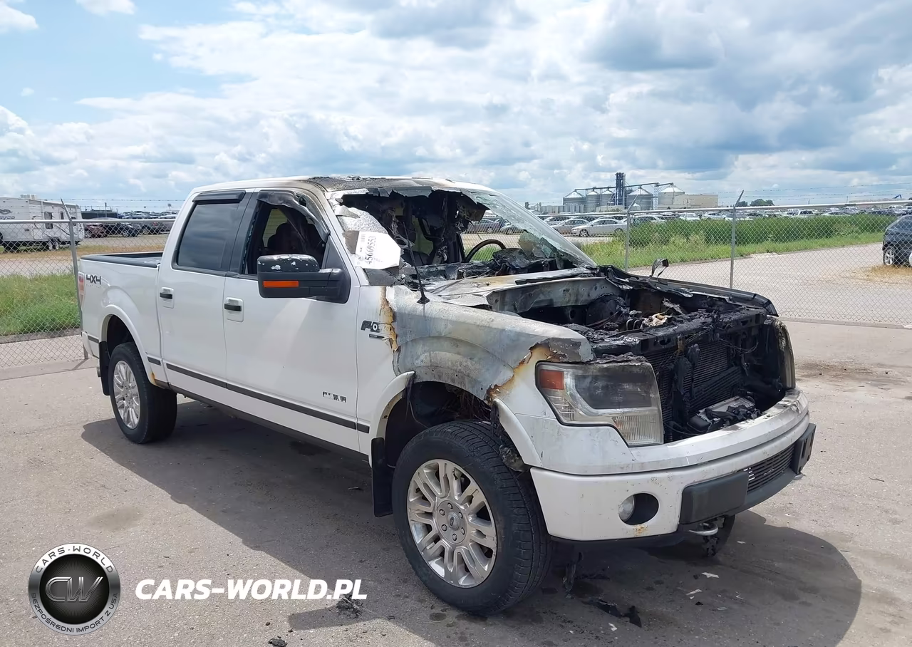 2013 Ford F-150 Platinum – zdjęcie 1 z 11