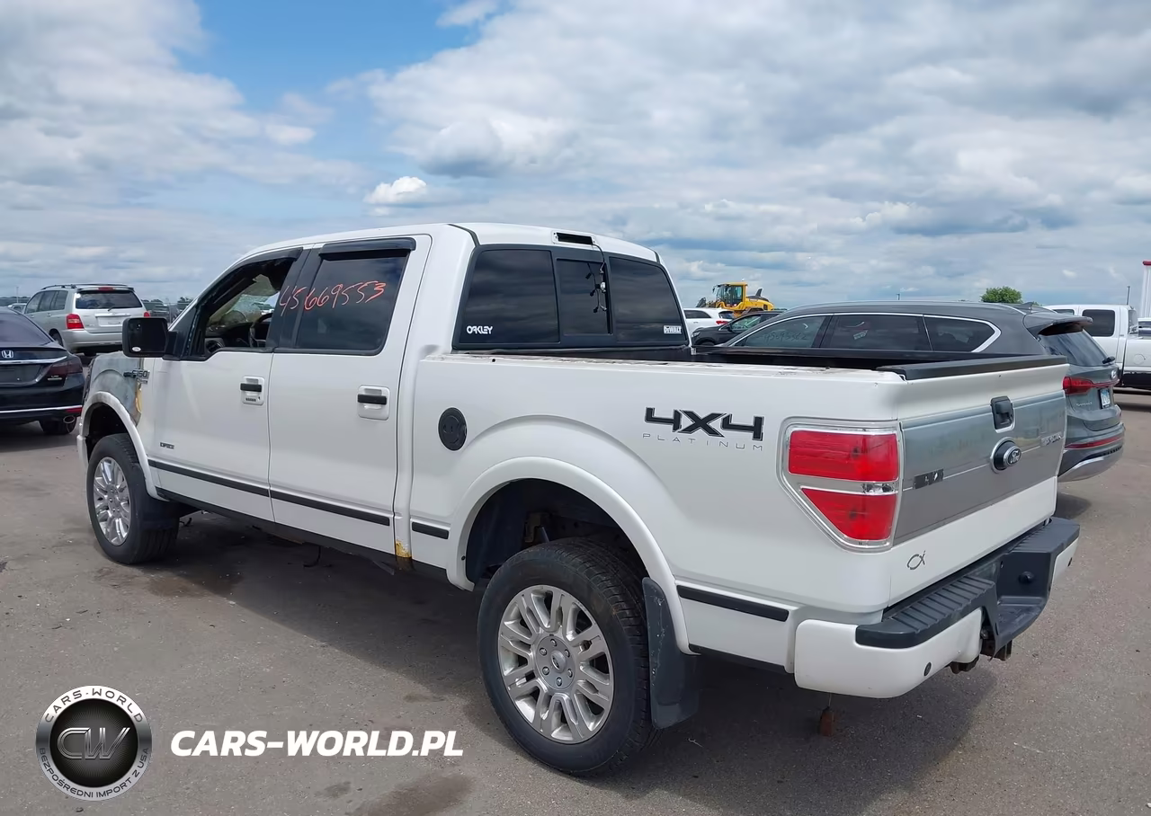 2013 Ford F-150 Platinum VIN:1FTFW1ETXDFA62252 - 3