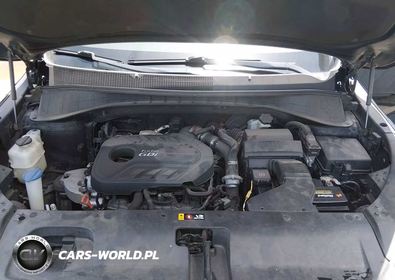 2017 Kia Sorento 2.0T Ex VIN:5XYPHDA19HG265902 - 10