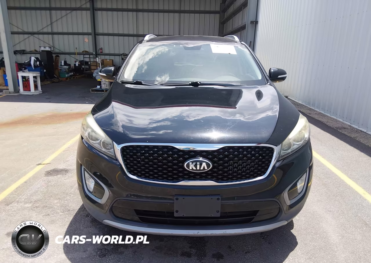 2017 Kia Sorento 2.0T Ex VIN:5XYPHDA19HG265902 - 12