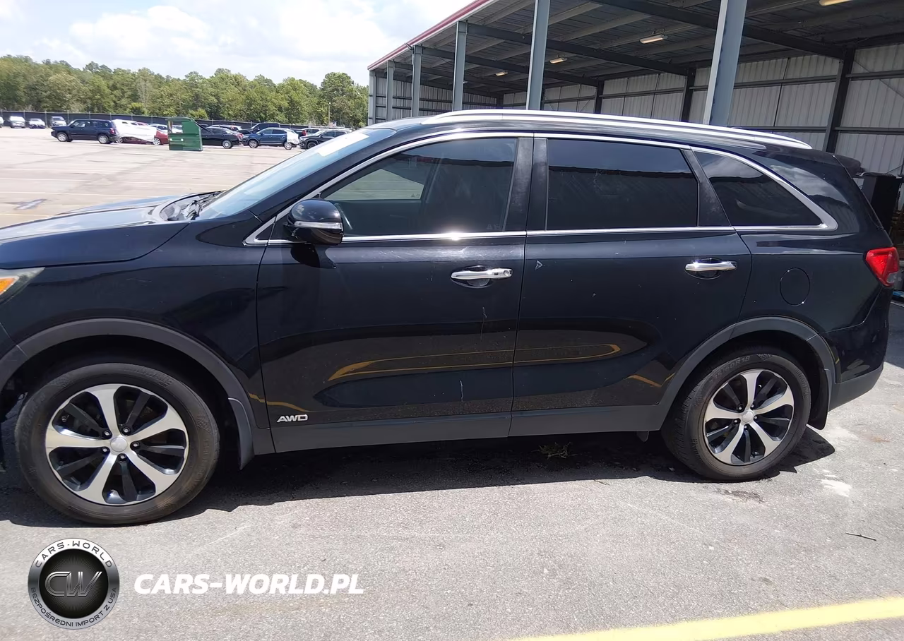 2017 Kia Sorento 2.0T Ex VIN:5XYPHDA19HG265902 - 14