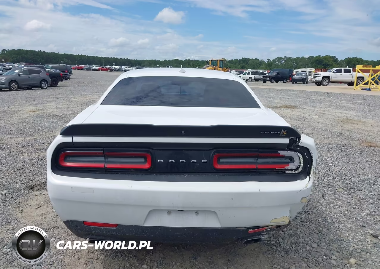 2020 Dodge Challenger R-T Scat Pack VIN:2C3CDZFJ9LH123208 - 17