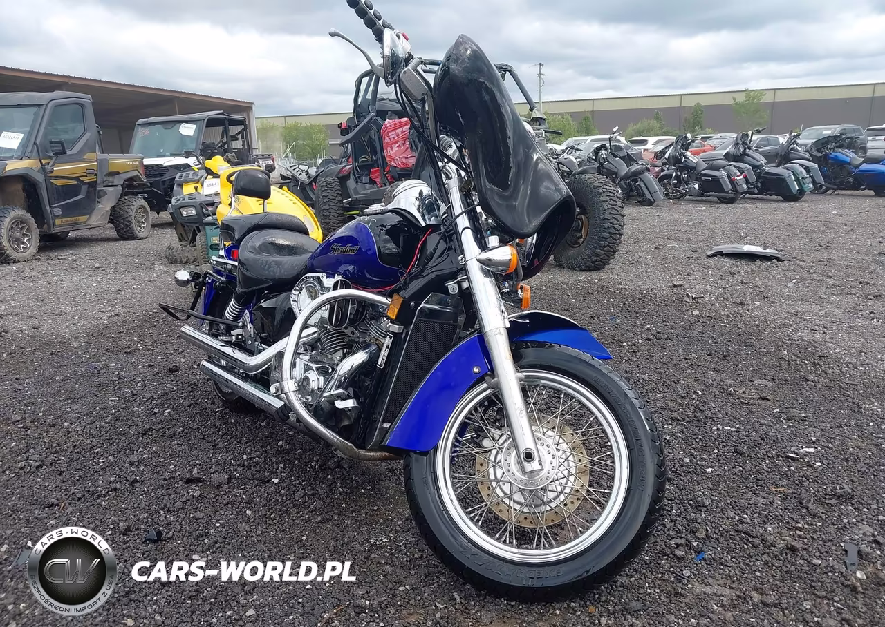 2004 Honda Vt750 Ca