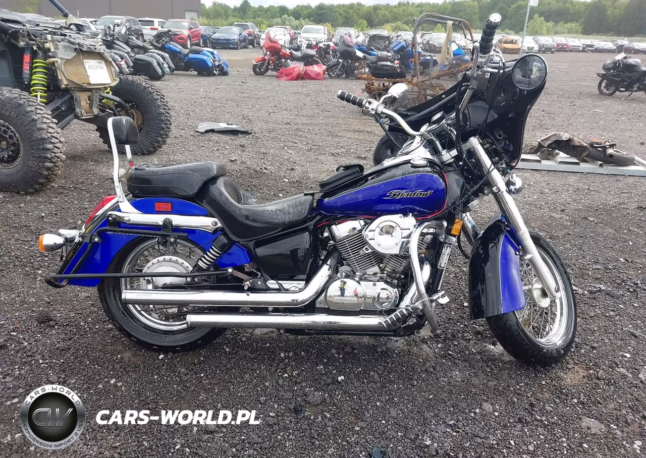 2004 Honda Vt750 Ca VIN:JH2RC50324M004708 - 12