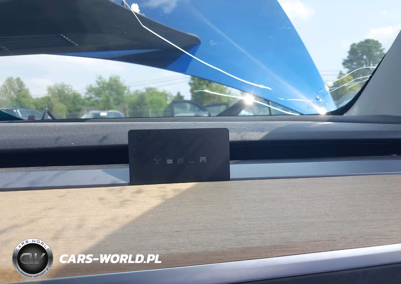 2020 Tesla Model 3 Long Range Dual Motor All-Wheel Drive VIN:5YJ3E1EBXLF589045 - 10