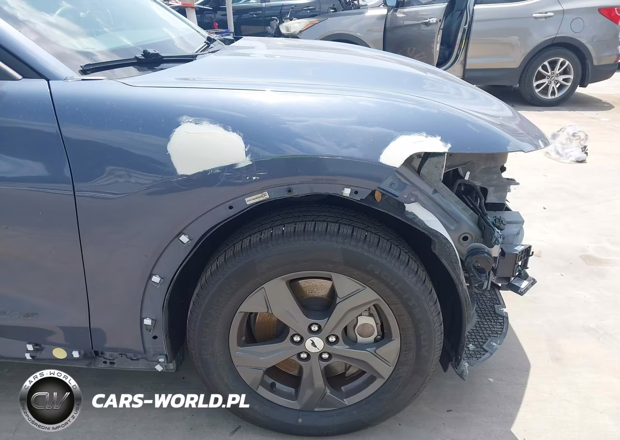2021 Ford Mustang Mach-E Select VIN:3FMTK1RM4MMA06353 - 21