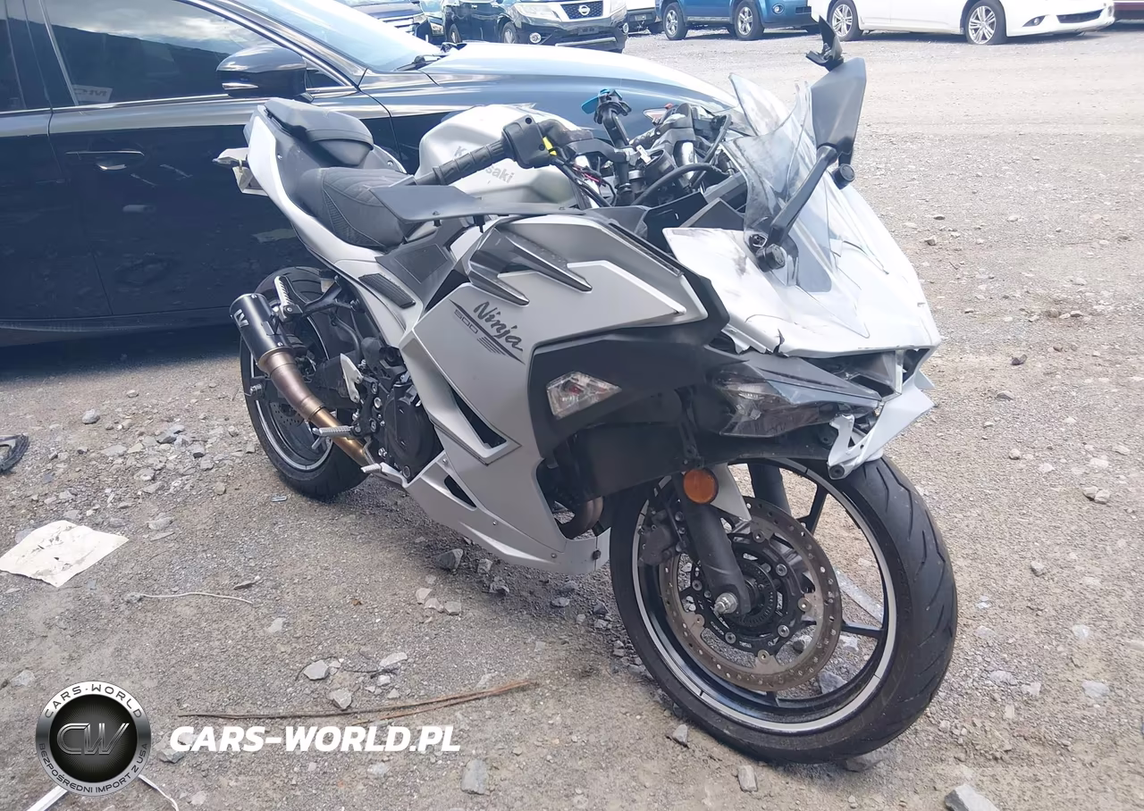 2025 Kawasaki Ex500 VIN:ML5EXGG10SDA42945 - 1