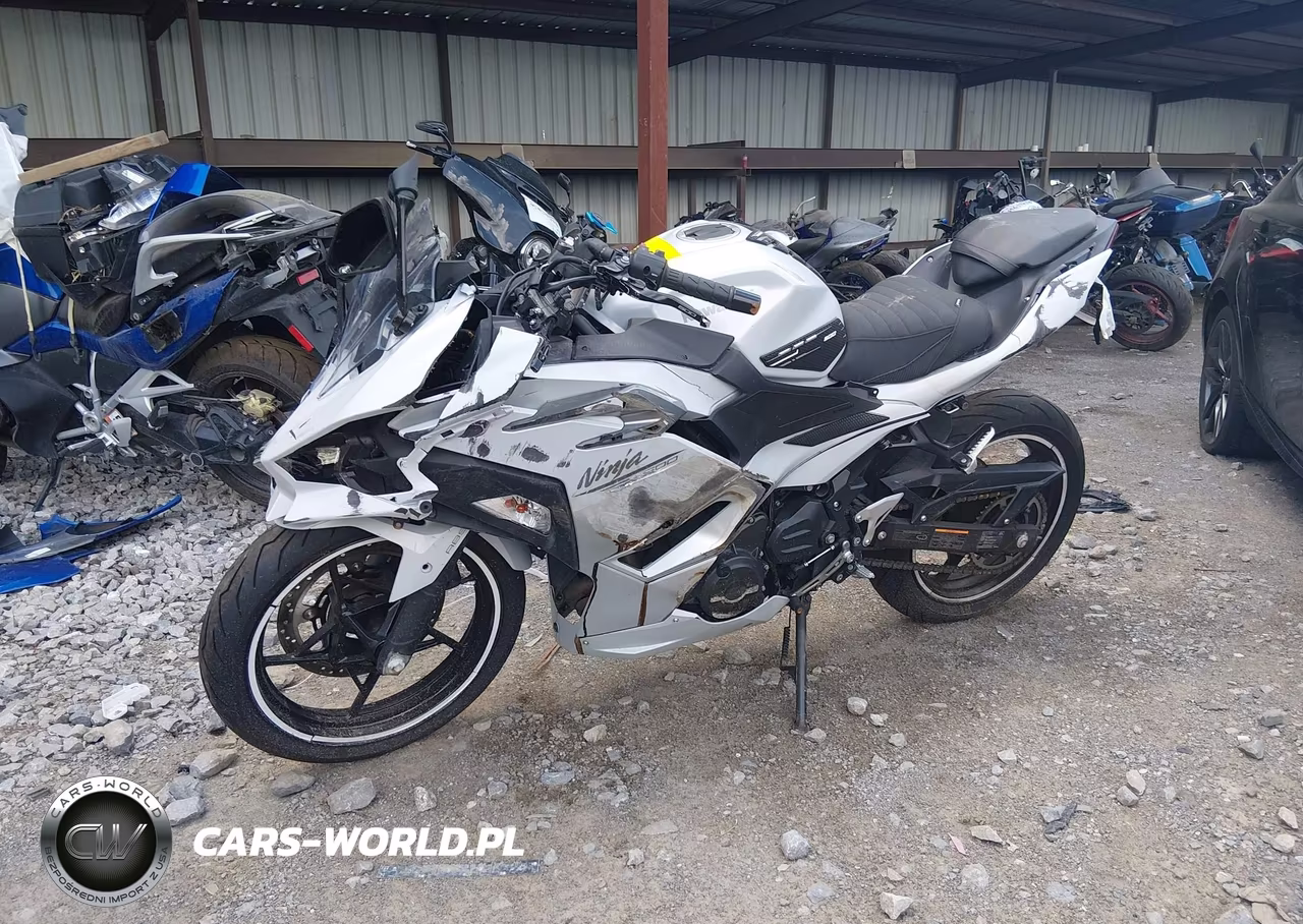 2025 Kawasaki Ex500 VIN:ML5EXGG10SDA42945 - 2