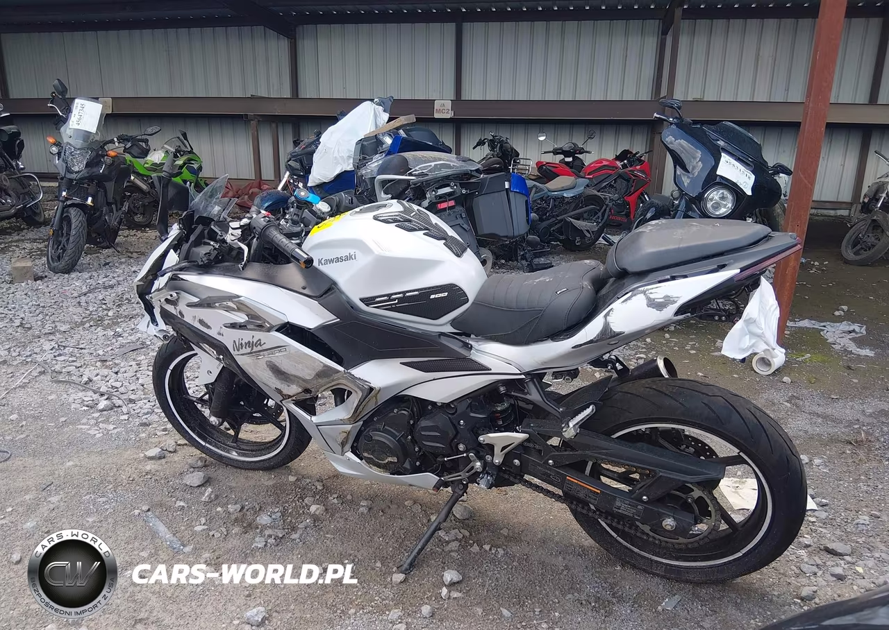 2025 Kawasaki Ex500 VIN:ML5EXGG10SDA42945 - 3