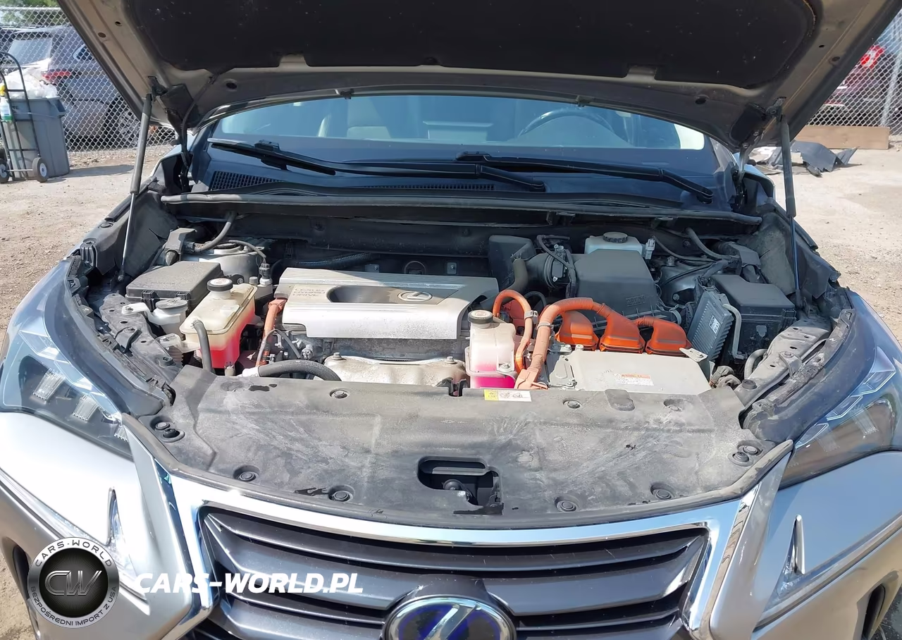 2017 Lexus Nx 300H VIN:JTJBJRBZ9H2055758 - 10